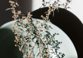 Milan Liechti Keramik