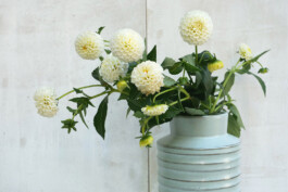 Milan Liechti Keramik