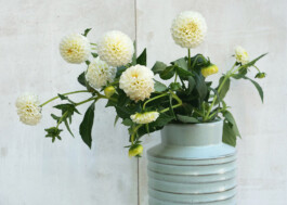 Milan Liechti Keramik